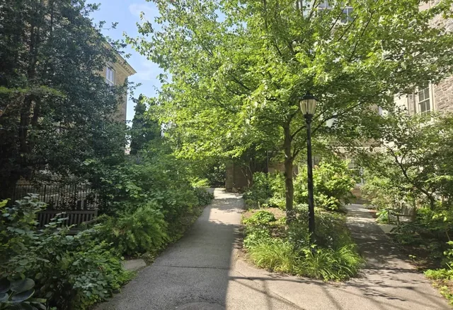 A garden between buildings