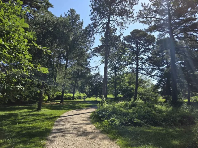The gravel path through the woods I walked daily