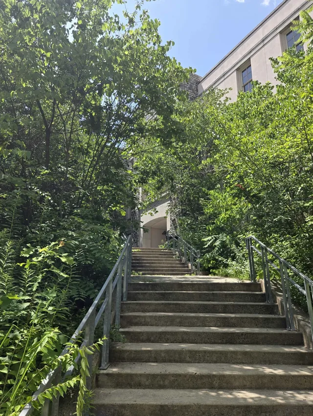 The staircase leading up to Hilles